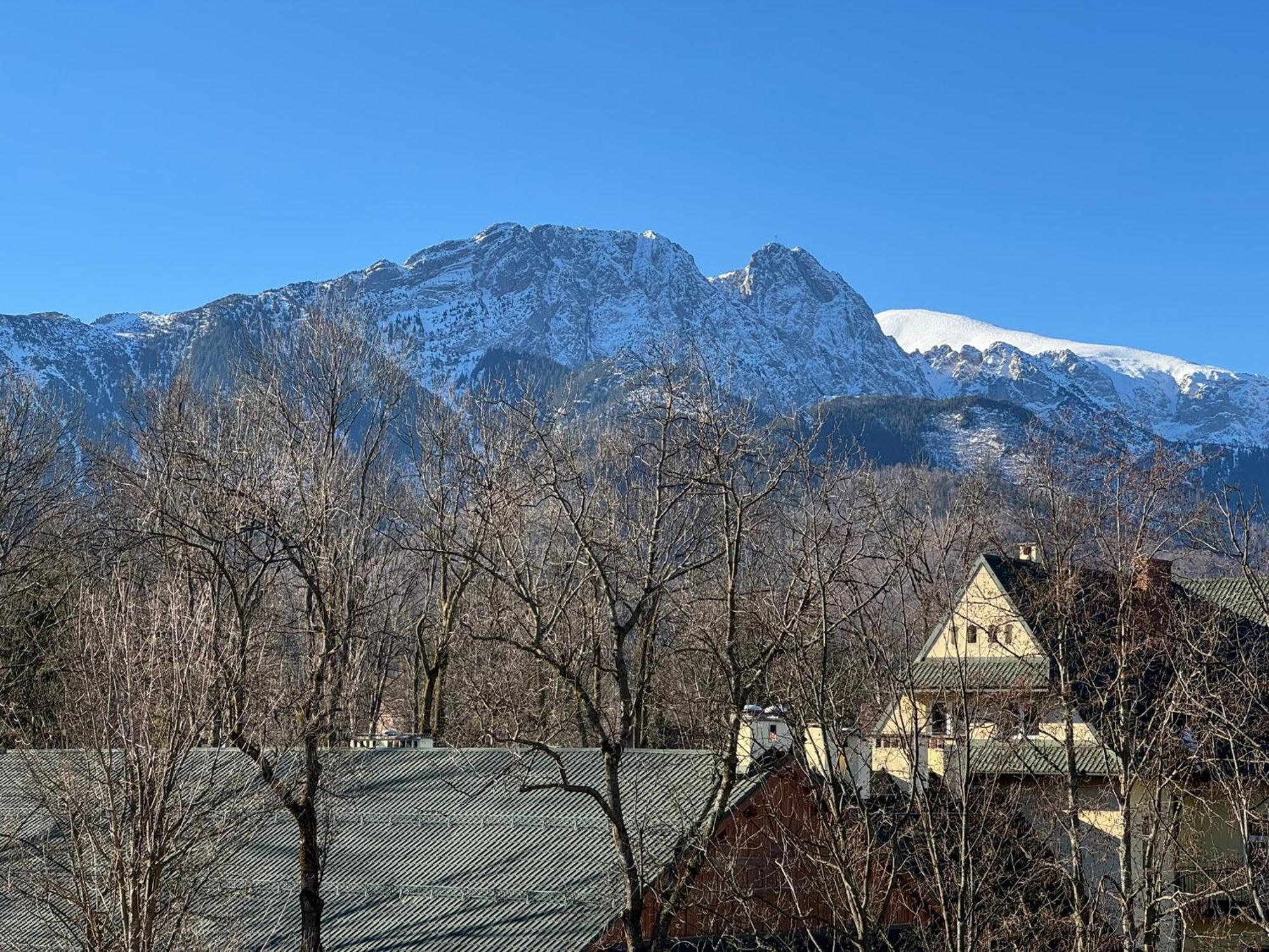 Dafne Zakopane Bed & Breakfast Luaran gambar