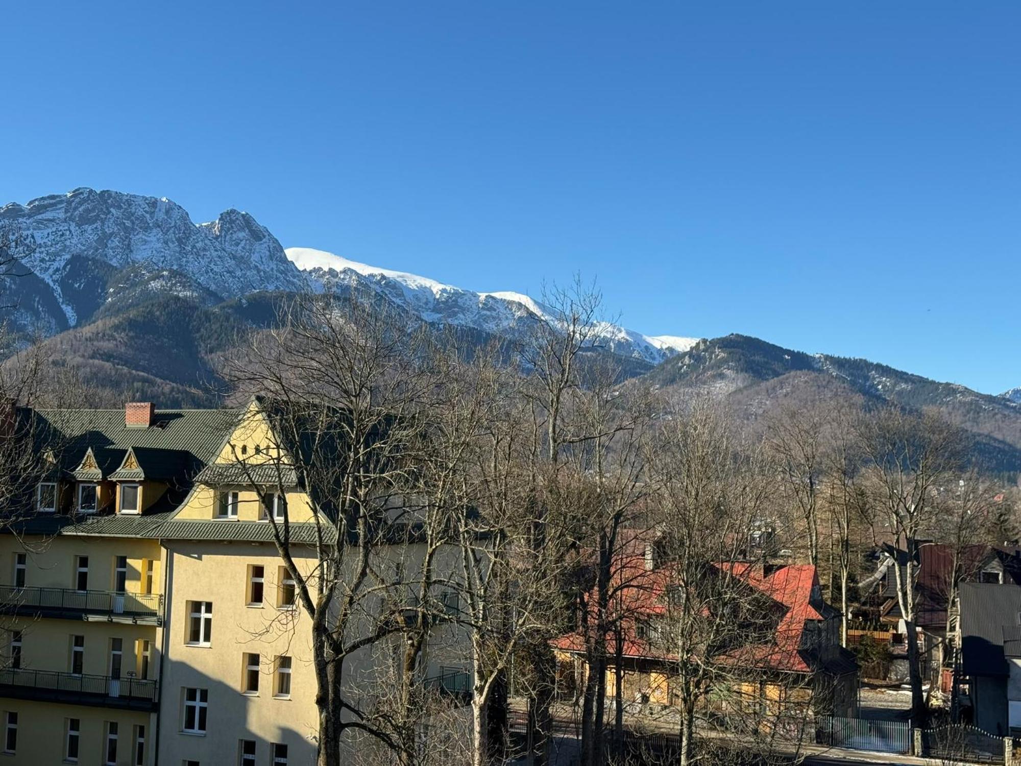 Dafne Zakopane Bed & Breakfast Luaran gambar