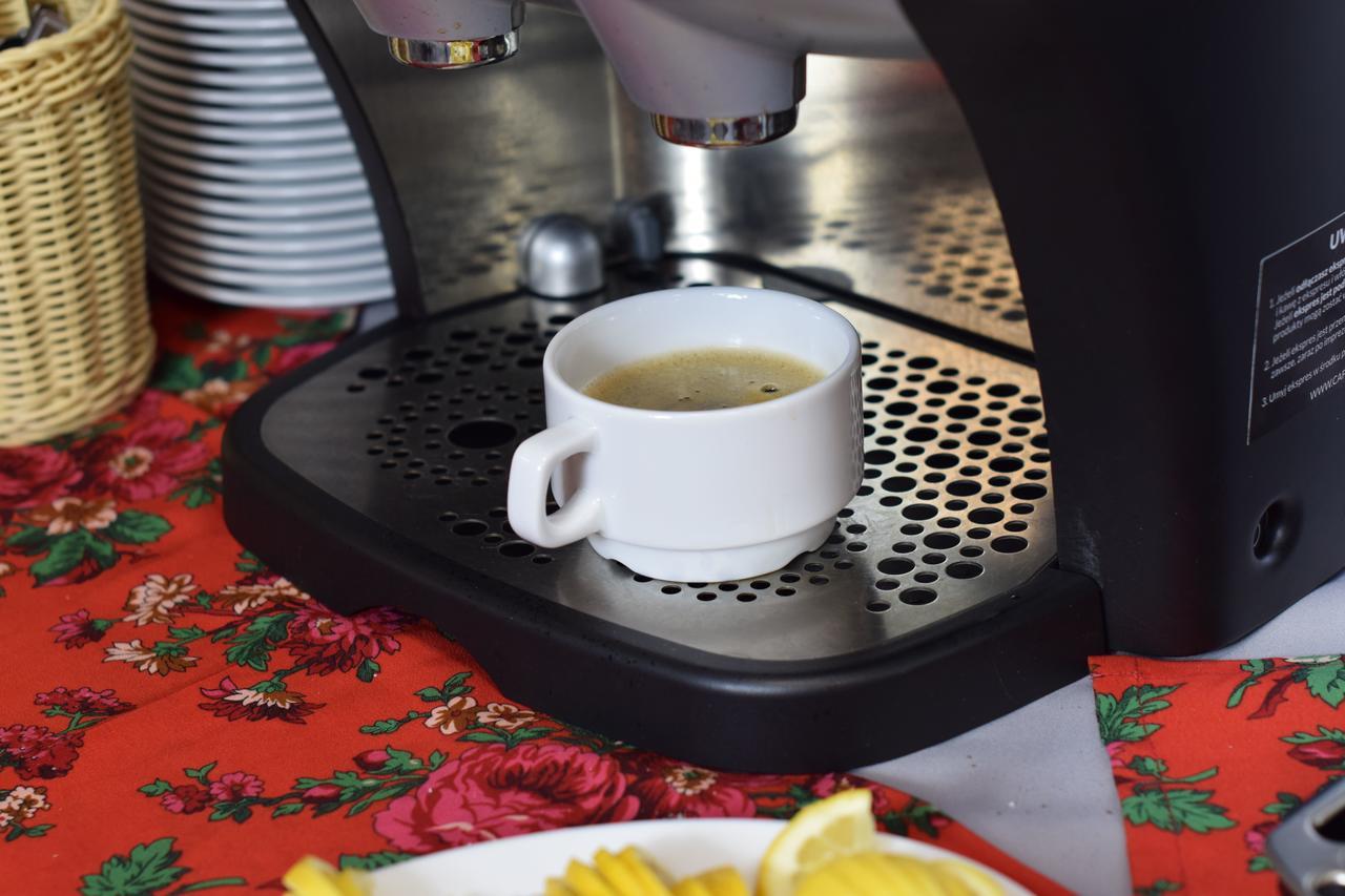 Dafne Zakopane Bed & Breakfast Luaran gambar
