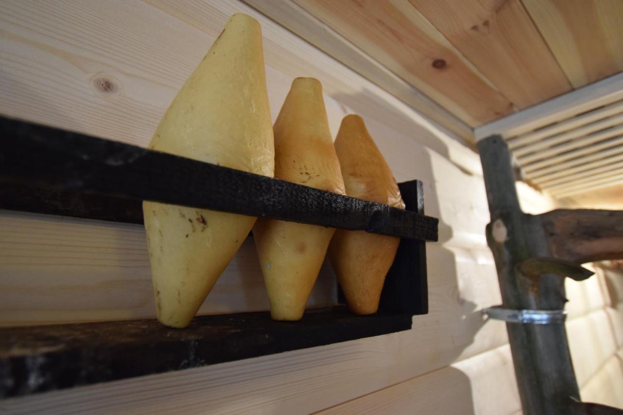 Dafne Zakopane Bed & Breakfast Luaran gambar